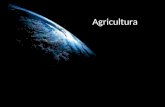 Agricultura. INTENSIVA Solo: * processo racional * rotação de cultivos Propriedade: * pequena e média Dano Ambiental: * uso de fertilizantes * transgênicos.