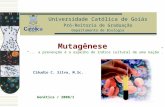 Universidade Católica de Goiás Pró-Reitoria de Graduação Departamento de Biologia Genética / 2008/1 Cláudio C. Silva, M.Sc. Mutagênese... a prevenção é
