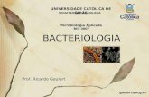 UNIVERSIDADE CATÓLICA DE GOIÁS BACTERIOLOGIA Prof. Ricardo Goulart DEPARTAMENTO DE BIOLOGIA Microbiologia Aplicada BIO 3007 goulart@ucg.br.