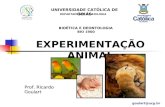 UNIVERSIDADE CATÓLICA DE GOIÁS DEPARTAMENTO DE BIOLOGIA BIOÉTICA E DEONTOLOGIA BIO 1900 EXPERIMENTAÇÃO ANIMAL Prof. Ricardo Goulart goulart@ucg.br.