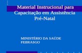 Material Instrucional para Capacitação em Assistência Pré-Natal MINISTÉRIO DA SAÚDE FEBRASGO.