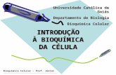 Bioquímica Celular – Prof. Júnior INTRODUÇÃO À BIOQUÍMICA DA CÉLULA Universidade Católica de Goiás Departamento de Biologia Bioquímica Celular.