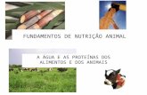 FUNDAMENTOS DE NUTRIÇÃO ANIMAL A ÁGUA E AS PROTEÍNAS DOS ALIMENTOS E DOS ANIMAIS.