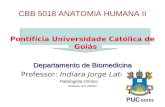 CBB 5018 ANATOMIA HUMANA II Pontifícia Universidade Católica de Goiás Departamento de Biomedicina Professor: Indíara Jorge Latorraca Patologista Clínico.