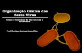 Organização Gênica dos Seres Vivos Genes e Genomas de Procariotos e Eucariotos Prof. Henrique Santana Costa, M.Sc.
