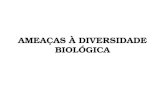 AMEAÇAS À DIVERSIDADE BIOLÓGICA. Ameaças à diversidade biológica Ambiente conservado ECOSSISTEMAS COMUNIDADES ESPÉCIES.