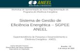 Sistema de Gestão de Eficiência Energética – SGPEE ANEEL Carlos Eduardo Firmeza Sheyla Maria das Neves Damasceno Especialista em Regulação Brasília - DF.