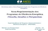 Brasília – DF 04 de março de 2009 Máximo Luiz Pompermayer Superintendente Superintendência de Pesquisa e Desenvolvimento e Eficiência Energética – SPE/ANEEL.