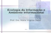 PO131 Ecologia da Informação e Ambiente Informacional Prof. Dra. Maria Virginia Llatas.