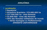 AMAZÔNIA __________________________________ Localização: Localização: Equatorial Equatorial Amazônia Brasileira: 370.000.000 ha Amazônia Brasileira: 370.000.000.