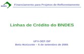 BNDESBNDES Financiamento para Projetos de Reflorestamento Linhas de Crédito do BNDES Belo Horizonte – 5 de setembro de 2005 UFV-DEF-SIF.