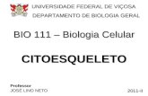 BIO 111 – Biologia Celular 2011-II UNIVERSIDADE FEDERAL DE VIÇOSA UNIVERSIDADE FEDERAL DE VIÇOSA DEPARTAMENTO DE BIOLOGIA GERAL DEPARTAMENTO DE BIOLOGIA.