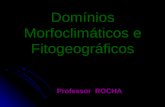 Domínios Morfoclimáticos e Fitogeográficos Professor ROCHA.