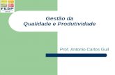 Gestão da Qualidade e Produtividade Prof. Antonio Carlos Guil.