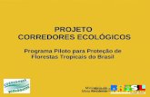 Programa Piloto para Proteção de Florestas Tropicais do Brasil PROJETO CORREDORES ECOLÓGICOS