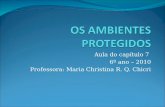Aula do capítulo 7 6º ano – 2010 Professora: Maria Christina R. Q. Chicri.