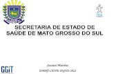Susana Martins DANT-CEVE-DGVS-SES. Mato Grosso do Sul 79 municípios79 municípios 2.505.088 habitantes2.505.088 habitantes.