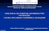 VIGILÂNCIA DE EVENTOS ADVERSOS PÓS VACINAÇÃO VACINA INFLUENZA PANDÊMICA (H1N1)2009 GOIÁS Todo dia é dia de vacinação Março/2010 Secretaria de Estado da.