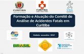Goiânia novembro 2012 JC-M12 Formação e Atuação do Comitê de Análise de Acidentes Fatais em Curitiba.