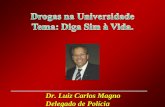 Dr. Luiz Carlos Magno Delegado de Polícia. CICLO ECONÔMICO DA DROGA PRODUÇÃO CONSUMO DISTRIBUIÇÃO Luiz Carlos Magno.