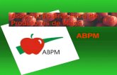 Associação Brasileira de Produtores de Maçã ABPM.