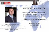 MARIO SÉRGIO CUTAIT Diretor-Adjunto Depto. Insumos DEAGRO/COSAG FIESP Presidente do Sindirações e da Feed Latina Membro Board da IFIF AUDIÊNCIA PÚBLICA.