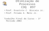 Otimização de Processos COQ 897 Prof. Evaristo C. Biscaia Jr. Prof. Príamo A. Melo Jr. Trabalho Final do Curso – 3º Período 2002.