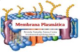 Membrana Plasmática Brenda Natasha Souza Costa brendanatasha@biologa.bio.br.