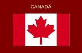 CANADÁ. É uma Monarquia Constitucional, ou seja, o monarca apenas representa e o Primeiro Ministro efetivamente governa.