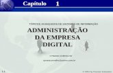 1.1 © 2004 by Pearson Education 1 1 ADMINISTRAÇÃO DA EMPRESA DIGITAL Capítulo TÓPICOS AVANÇADOS DE SISTEMAS DE INFORMAÇÃO CYNARA CARVALHO cynaracarvalho@yahoo.com.br.