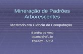 Mineração de Padrões Arborescentes Sandra de Amo deamo@ufu.br FACOM - UFU Mestrado em Ciência da Computação.