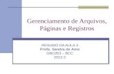 Gerenciamento de Arquivos, Páginas e Registros RESUMO DA AULA 3 Profa. Sandra de Amo GBC053 – BCC 2012-2.