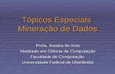Tópicos Especiais Mineração de Dados Profa. Sandra de Amo Mestrado em Ciência da Computação Faculdade de Computação Universidade Federal de Uberlândia.