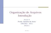 BCC-2013-1 Organização de Arquivos Introdução AULA 4 Profa. Sandra de Amo GBC053 – BCC 2013-1.