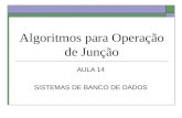 Algoritmos para Operação de Junção AULA 14 SISTEMAS DE BANCO DE DADOS.