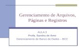 Gerenciamento de Arquivos, Páginas e Registros AULA 3 Profa. Sandra de Amo Gerenciamento de Banco de Dados – BCC.