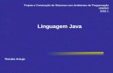 Renata Araujo Projeto e Construção de Sistemas com Ambientes de Programação UNIRIO 2002.1 Linguagem Java.