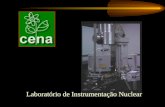 Laboratório de Instrumentação Nuclear FLUORESCÊNCIA DE RAIOS X POR ENERGIA DISPERSIVA (ED-XRF) APLICAÇÃO EM AMOSTRAS AMBIENTAIS EDWIN ESPINOZA VALENCIA.