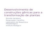 Desenvolvimento de construções gênicas para a transformação de plantas Ricardo Harakava Pesquisador Científico Laboratório de Bioquímica Fitopatológica.