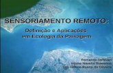 SENSORIAMENTO REMOTO: Definição e Aplicações em Ecologia da Paisagem Fernando Defavari Nijima Novello Rumenos Taís Helena Bueno de Oliveira.