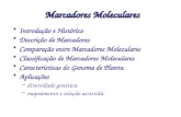 Marcadores Moleculares Introdução e Histórico Descrição de Marcadores Comparação entre Marcadores Moleculares Classificação de Marcadores Moleculares Características.