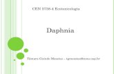 Daphnia Tâmara Guindo Messias – tgmessias@cena.usp.br CEN 5738-4 Ecotoxicologia.
