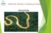 CEN0146- Biosfera e Mudanças Globais Amazônia Ariane F. D. da Silveira Guilherme Vidal Leonardo F. de Oliveira Murilo Trevisan.