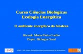 Curso Ciências Biológicas Ecologia Energética O ambiente energético da biosfera Ricardo Motta Pinto-Coelho Depto. Biologia Geral UFMG – ICB – Depto. Biologia.