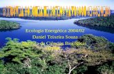 Ecologia Energética 2004/02 Daniel Teixeira Souza Instituto de Ciências Biológicas UFMG.