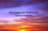 Medidas de Radiação Ultra-violeta Alessandra Jardim de Souza Prof. Ricardo Motta Pinto Coelho Universidade Federal de Minas Gerais Instituto de Ciências.