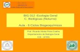 BIG 012 -Ecologia Geral C. Biológicas (Noturno) Aula - 6 Ciclos Biogeoquímicos Prof. Ricardo Motta Pinto-Coelho Departamento de Biologia Geral ICB - UFMG.