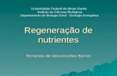 Regeneração de nutrientes Fernanda de Vasconcellos Barros Universidade Federal de Minas Gerais Instituto de Ciências Biológicas Departamento de Biologia.