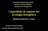 Capacidade de suporte em Ecologia Energética Daniela Esteves U. Costa Universidade Federal de Minas Gerais Instituto de Ciências Biológicas Departamento.