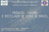 Sumário Introdução: –Histórico; –Definição, composição e características; –Tipologias e manufatura. Produção e consumo de vidro no Brasil. Reciclagem.